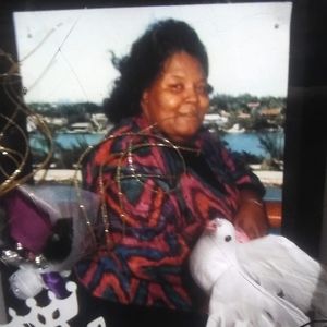 Meet your Posher, Ernest